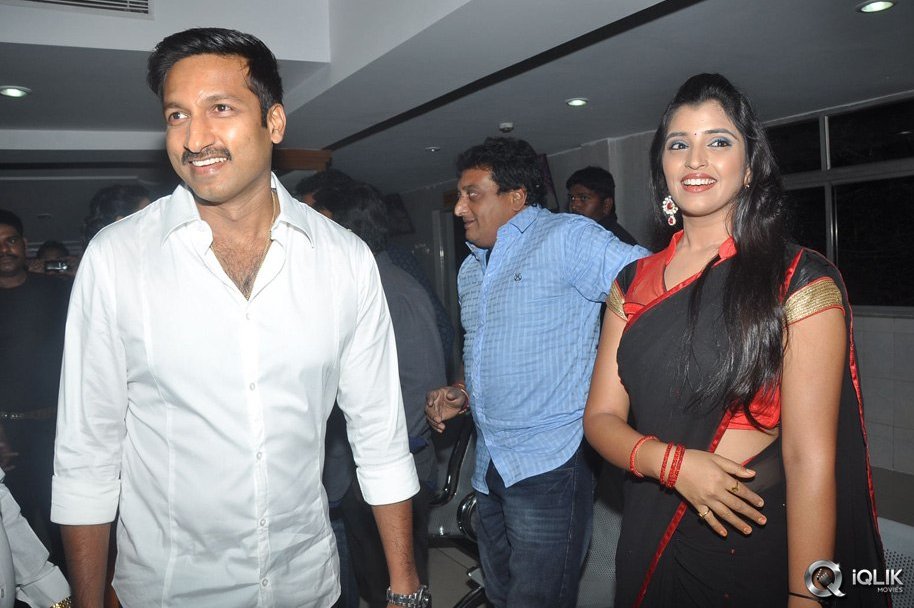 Loukyam-Movie-50-Days-Celebrations